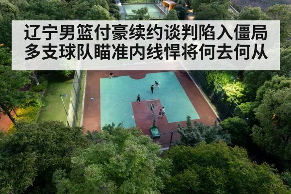 辽宁男篮付豪续约谈判陷入僵局 多支球队瞄准内线悍将何去何从